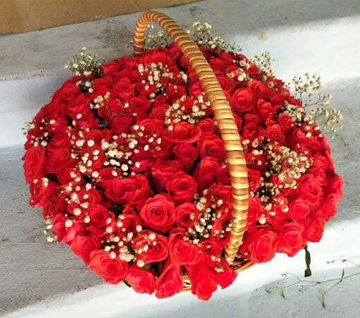Premium Red Roses Basket Arrangement with White Baby’s Breath Fillers