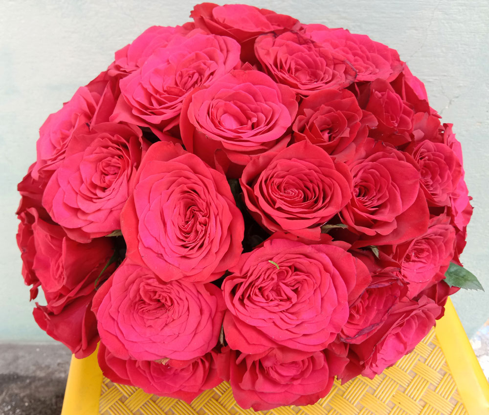Classic Red Roses Bouquet Arrangement